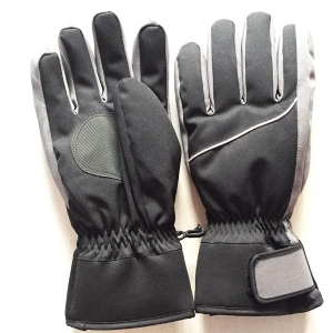 Ski gloves