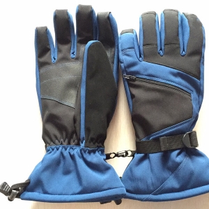 Ski gloves