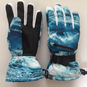 Ski gloves