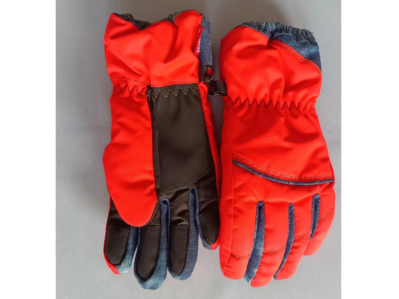 Ski gloves