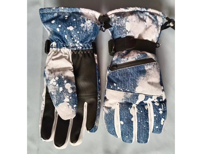 Ski gloves