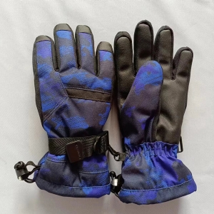 Ski gloves