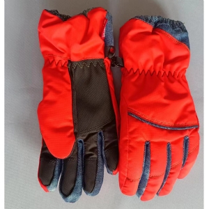 Ski gloves