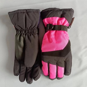 Ski gloves